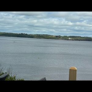 Meet your Posher, Danini